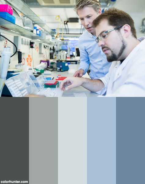 Medical Laboratory Color Scheme from colorhunter.com Laboratory Color Palette, Medical Color Palette, Medical Drama, Laboratory Science, Medical Laboratory, Mood And Tone, Veterinary Clinic, Color Palate, Science Lab