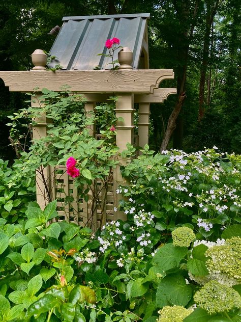 Carol Ann’s South Carolina Garden - FineGardening Garden Supports, Propagating Hydrangeas, Hydrangea Arborescens Annabelle, Lace Cap Hydrangea, Fine Gardening Magazine, Upstate South Carolina, Hydrangea Arborescens, Carol Ann, Greenville South Carolina