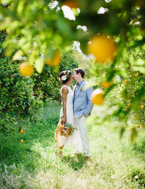 orange grove inspiration Orange Orchard Wedding, Orange Grove Wedding, Orchard Wedding Ideas, Orange Orchard, Orange Groves, Apple Orchards, Citrus Wedding, Married Women, Orchard Wedding