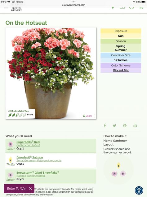 Garden Pot Plants, Deck Plants, Diy Outdoor Living, Plants Window, Mary Garden, Flower Combinations, Front Porch Flowers, Flower Garden Plans, Patio Flowers