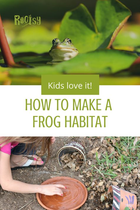 Diy Toad House How To Make, Outdoor Frog House, Frog Sanctuary Diy, Toad Pond Diy, Frog Houses Diy, Frog House Diy How To Make, Backyard Frog Habitat, Frog And Toad House, Tree Frog Habitat Outdoor