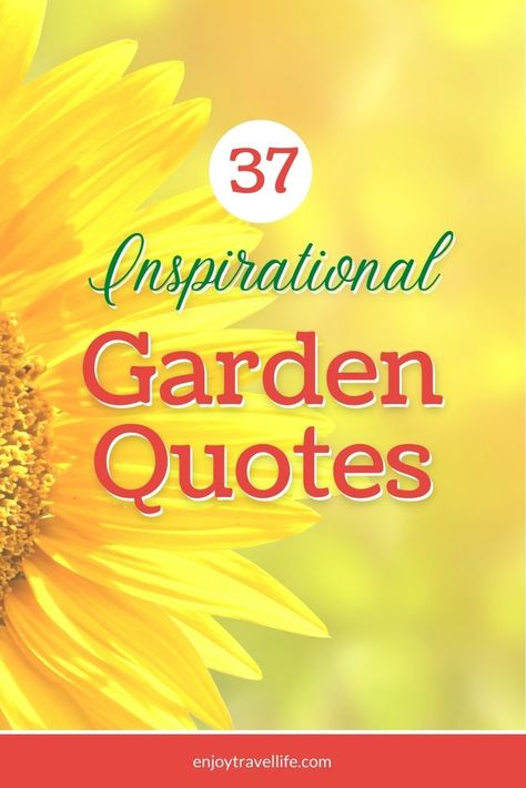 Garden Thoughts Life, In The Garden Quotes, Christian Garden Signs, Garden Poems Quote, Quotes On Gardening, Garden Inspiration Quotes, Quotes About Gardening And Life, Garden Quotes Inspirational Short, Quotes On Flowers Thoughts