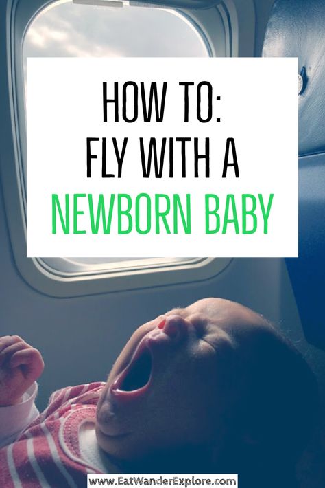 Flying With Newborn, Baby Passport, Adventurous Family, Flying Tips, Travel With Baby, Traveling With A Baby, Tips For Flying, Flying With A Baby, International Flight