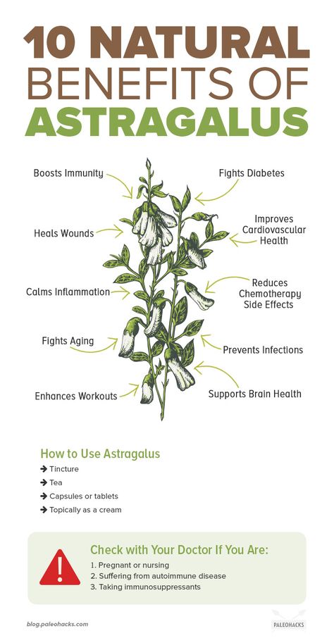 When it comes to overall health, astragalus may be your new adaptogenic herb of choice. Astragalus is a fundamental herb used in traditional Chinese medicine for its immune-boosting benefits. Modern science recently discovered its healing properties, highlighting its benefits for diabetics and athletes. Benefits Of Basil, Ancient Healing, Adaptogenic Herbs, Natural Antibiotics, Hormonal Acne, Cardiovascular Health, Overall Health, Traditional Chinese Medicine, Back To Nature