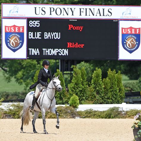 Pony Finals Aesthetic, Finals Aesthetic, Pony Finals, Pony Hunters, Hunter Horse, Name Game, Equestrian Aesthetic, Sign Of The Times, Blue Bayou