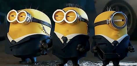 Minion Banner Discord, Minions Love, 2013 Swag Era, Cute Minions, Minions Wallpaper, Cute Laptop Wallpaper, Weird Images, Silly Dogs, Sony Pictures