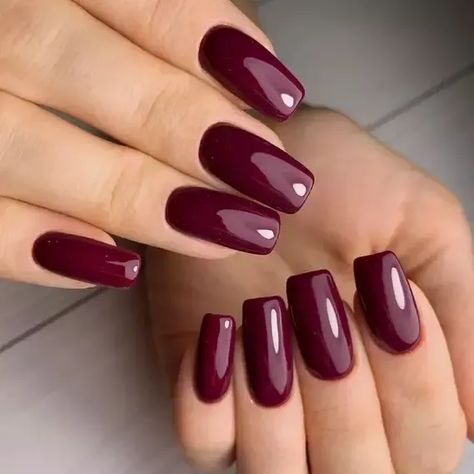 #Burgundy_Nail_Color #Burgundy_Matte_Nails #Bordeaux_Nails #Nail_Colors_For_Winter Burgundy Nail Color, Burgundy Matte Nails, Maroon Nail Polish, Nail Colors For Winter, Plum Nail Polish, Maroon Nail, Matte Nail Colors, Plum Nails, Wine Nails