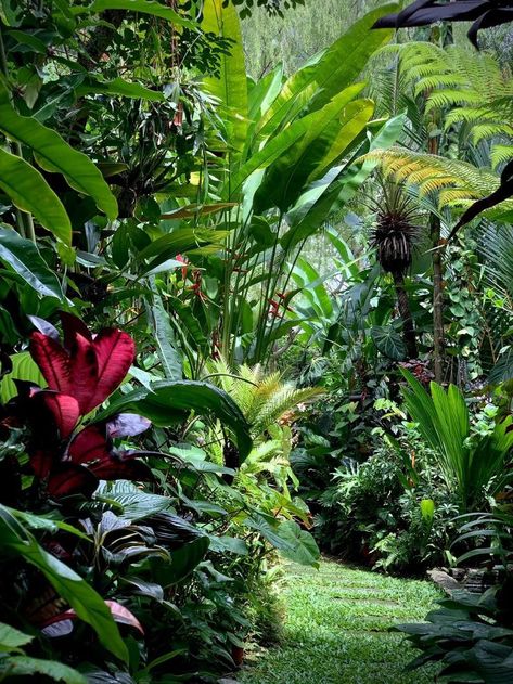 Tropical Exterior, Garden Fairy Costume, Tropical Backyard Landscaping, Small Tropical Gardens, Dream Garden Backyards, Pool Bed, Garden River, Bali Garden, Front Lawn Landscaping