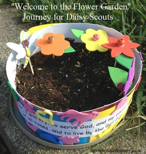 activity for Welcome to the Flower Garden journey for Daisy Girl Scouts Daisy Swaps, Growing Daisies, Daisy Activities, Daisy Flower Garden, Garden Activity, Daisy Ideas, Teaching Responsibility, Daisy Troop, Scout Crafts