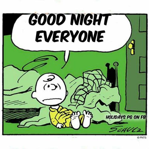 🙁😴😌 Summer Snoopy, End Of Summer Quotes, Summer Jokes, Charlie Brown Characters, Fall Starts, Snoopy Comics, Good Night Everyone, Fun Pictures, Snoopy Quotes