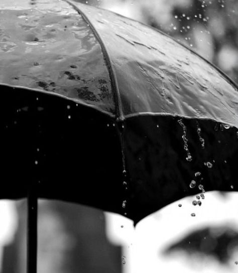 ACHILLES Its Raining Its Pouring, I Love Rain, Black Umbrella, Going To Rain, Love Rain, Under My Umbrella, Black And White Photograph, Singing In The Rain, Walking In The Rain