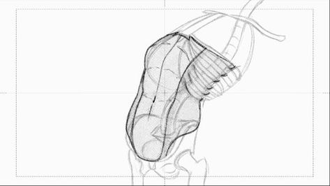 Studying Anatomy, Animated Anatomy, Anatomy Tutorial, Human Anatomy Drawing, Anatomy Sketches, Reference Drawing, Body Reference Drawing, Anatomy For Artists, Anatomy Study