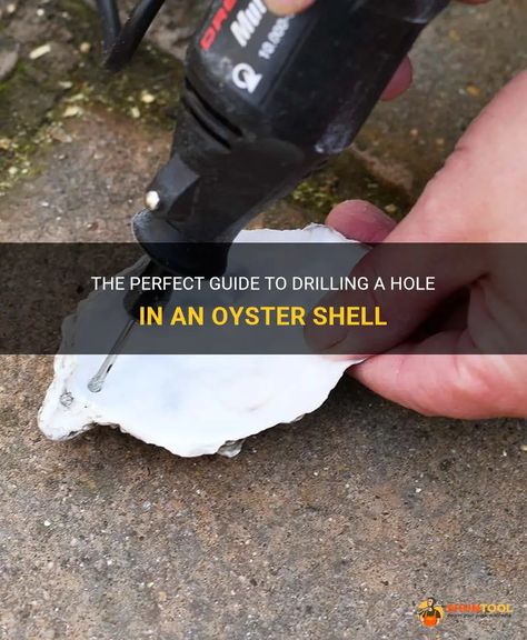 The Perfect Guide To Drilling A Hole In An Oyster Shell | ShunTool How To Drill Holes In Oyster Shells, How To Drill Hole In Oyster Shell, How To Drill Holes In Shells, Oyster Crafts, Drilling Holes, Oyster Shells, Summer Trip, Crafts Jewelry, Oyster Shell