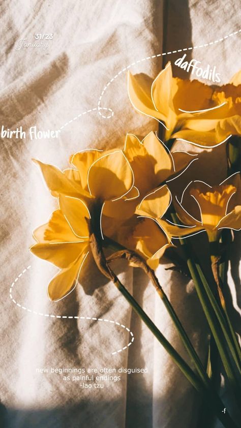 March 11 Aesthetic, March Aesthetic Month, March Vibes, March Wallpaper, March Aesthetic, April Wallpaper, March Birth Flower, March Birth Flowers, Birthday Wallpaper