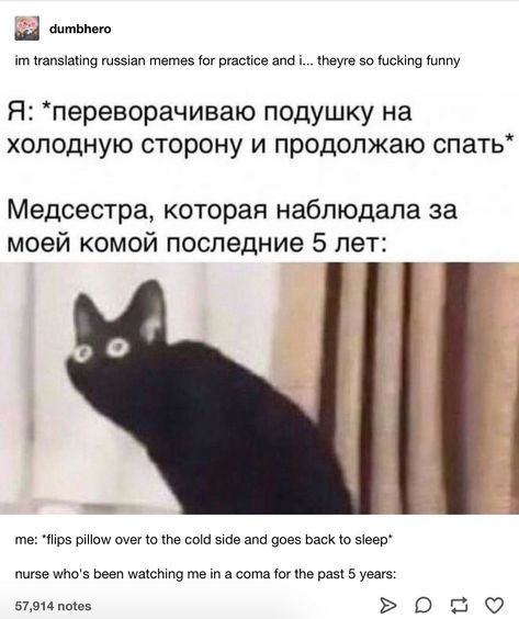 A Smorgasbord Of Memes & Tweets For Anyone Who Needs Them Russian Memes, Funny Me, Tumblr Funny, Tumblr Posts, Funny Posts, Funny Cute, Cat Memes, Funny Images, Really Funny