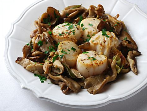 Scallops with mushrooms Oyster Mushroom Recipe, Oyster Mushrooms, Sea Scallops, Seafood Dinner, Mushroom Recipes, Fish Dishes, Seafood Dishes, Kitchen Recipes, Fish And Seafood