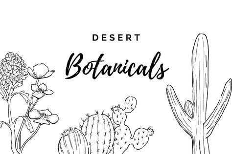 Illustration Outline, White Png, Hand Drawn Flowers, Desert Landscape, Landscape Illustration, Desert Landscaping, Flower Illustration, Art Hand, Transparent Png