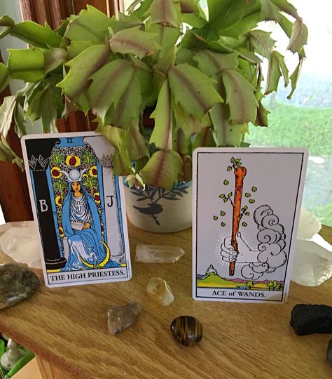 Esoteric Aesthetic, Ace Of Wands, Occult Decor, Daily Tarot Reading, The High Priestess, Esoteric Art, High Priestess, Daily Tarot, Mystical World