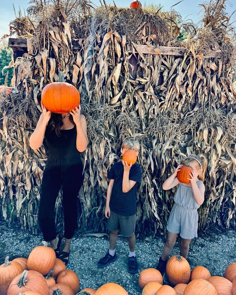 My little pumpkins 🎃 @barriehillfarms Pumpkins, Quick Saves