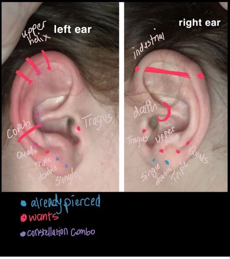 Pretty Piercings, Piercing Chart, Tattoo And Piercings, Piercings Earrings, Earrings Piercings, Piercings Ideas, Cool Ear Piercings, Face Piercings, Pretty Ear Piercings