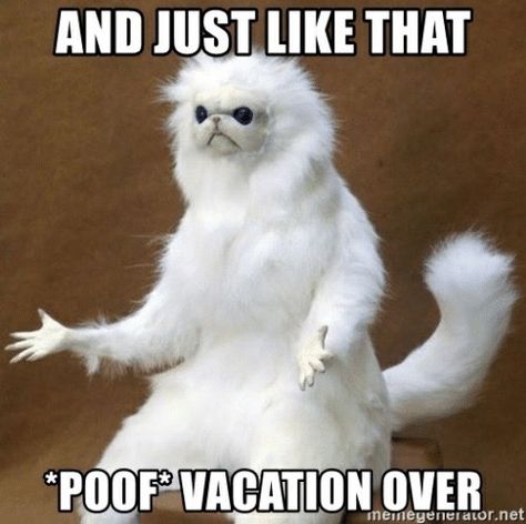 End Of Vacation Quotes, Thursday Meme, Brother Memes, Vacation Meme, Sibling Memes, Ending Quotes, Morning Memes, Vacation Humor, Vacation Quotes