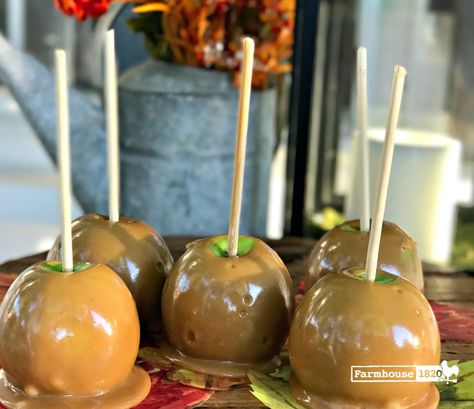 Best Ever Caramel Apple Recipe - Farmhouse 1820 Carmel Apple Recipe, Rocky Mountain Chocolate Factory, Candy Apple Recipe, Caramel Apples Recipe, Caramel Apples Homemade, Caramel Apples Easy, Apple Recipe, How To Make Caramel, Homemade Caramel