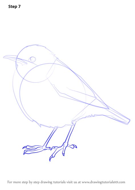 Basic Bird Drawing, Bird Drawing Tutorial, Simple Bird Drawing, Objects Drawing, Bird Line Drawing, Bird Sketch, Drawing Tutorials For Kids, Sketching Techniques, Object Drawing