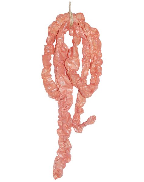 Intestines Halloween Yard Props, Halloween Costume Store, Halloween Props Diy, Halloween Prop, Halloween Pins, Halloween 2015, Zombie Halloween, Easy Diy Halloween, Fright Night