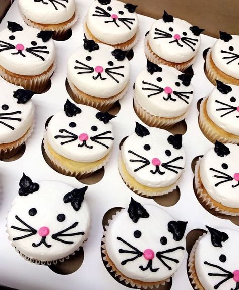 Cat/kitten cupcakes Cat Birthday Party Cupcakes, Cat Cake For Girls Birthday, Cupcake Cat Cake, Cat Themed Cupcake Ideas, Cat Party Cupcakes, Cat Themed Birthday Cupcakes, Kitty Cupcake Cake, Kitty Cat Cupcakes Ideas, Kitty Cat Cake Ideas