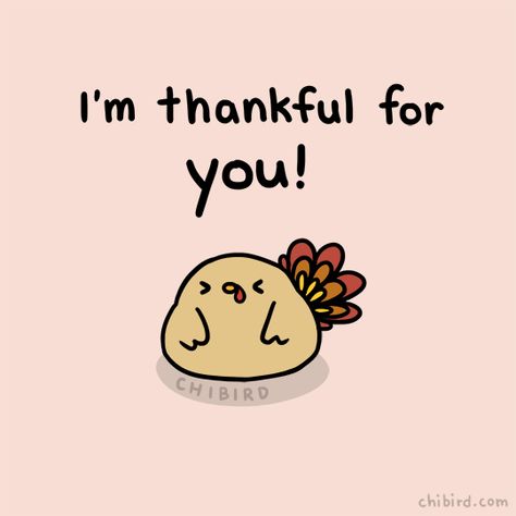 Happy Thanksgiving Memes, Cheer Up Quotes, Hbd Quotes, Falling In Love Quotes, Cute Messages, So Thankful, Friends Quotes Funny, Cute Memes, Romantic Love Quotes