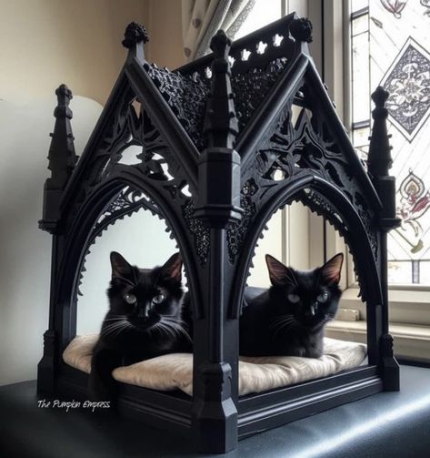 Cat Room Decor, Goth Cat, Goth Houses, Gothic Decor Bedroom, Cat Bedroom, Gothic Furniture, Dark Home Decor, Goth Home, Goth Home Decor