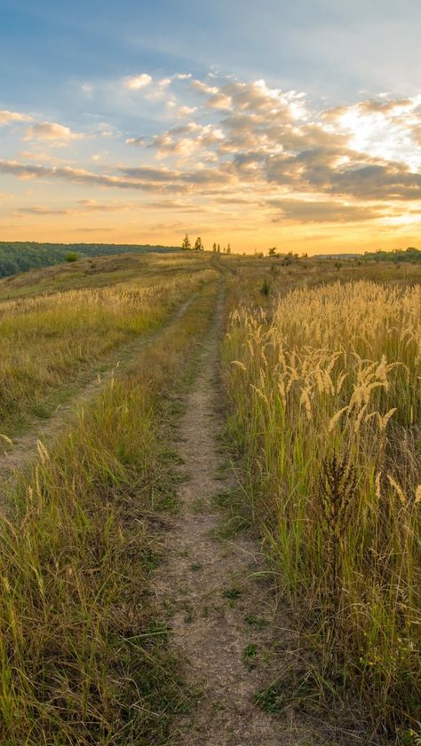 Download free HD wallpaper from above link! #field #grass #path #track #nature #dusk Field Wallpaper, Wallpaper Iphone Lucu, Grassy Field, Shotting Photo, Nature Aesthetic, Pretty Places, Country Life, Farm Life, Pretty Pictures