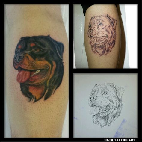 Rottweiler tattoo Rottweiler Tattoo For Women, Rottweiler Tattoo, Piercing Tattoo, Rottweiler, I Tattoo, Skull Tattoo, Tattoos For Women, Portrait Tattoo, Tatting