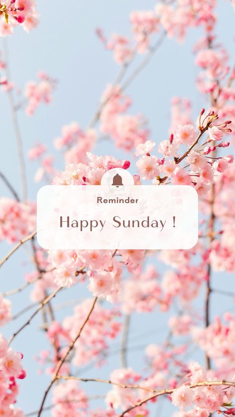 Happy Sunday Happy Sunday To My Love, Happy Sunday Images Beautiful, Happy Sunday Wallpaper, Sweet Good Morning Images, Happy Sunday Images, Sunrise Images, Ig Quotes, Sunday Pictures, Sunday Images