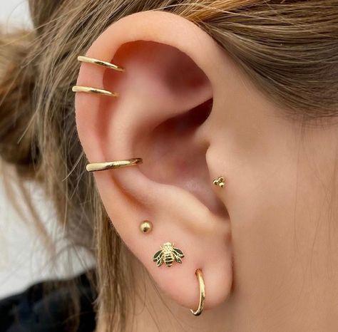 Double Helix And Conch, Double Cartilage Piercing, Hinged Ring, Flat Back Earrings, Detailed Jewelry, Diamond Gift, Bee Earrings, Single Earring, Tragus