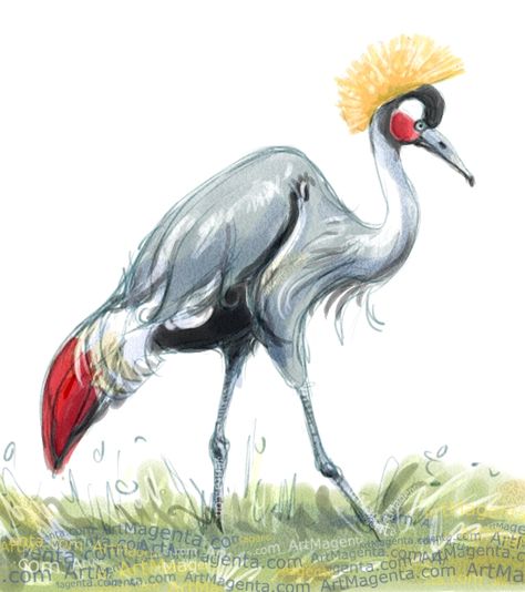 Black crowned crane. Nigeria's National Bird Crane Bird Drawing, Black Crowned Crane, Images For Drawing, Crane Drawing, Drawing Birds, Bird Images, Crowned Crane, Tropical Art Print, Crane Design