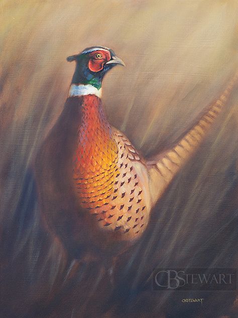 Just finished this one recently. Since fly fishing season is on hold for another couple of months, I thought I'd explore some hunting themes. I'm thinking I'll stick with it for a little while because this one was fun. I still have a lot I need to post. Oil on panel. 24x18". Prints available now, original available after drying and varnishing period. Follow me on Facebook! www.facebook.com/cbstewartfineart cbstewart.myshopify.com Pheasant Painting, Original Paintings For Sale, Wildlife Paintings, Fish Art, Pheasant, Wildlife Art, Birds Painting, Bird Art, Paintings For Sale