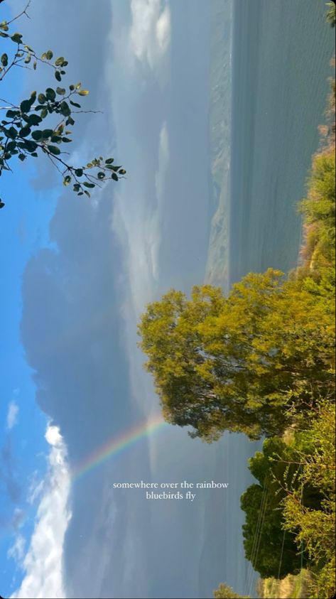 Rainbow Ig Story, Over The Rainbow, On The Ground, Ig Story, Pretty Flowers, Blue Bird, Rainbow, The Incredibles, Quotes