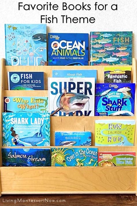 Recommendations of books for a fish theme for preschool and elementary-age kids. Nonfiction and fiction books - Living Montessori Now Homeschool Themes, Theme For Preschool, Shark Books, Sand Writing, Ocean Books, Fish Theme, Fish Activities, Circle Time Activities, Ocean Unit