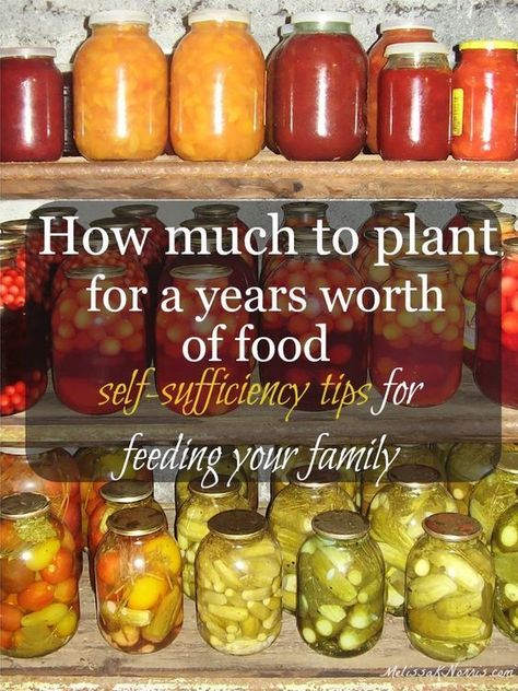 Gardening Guide, Homestead Gardens, Food Garden, Nutritional Value, Grow Your Own Food, Flowers Garden, Veggie Garden, Growing Food, Farm Gardens