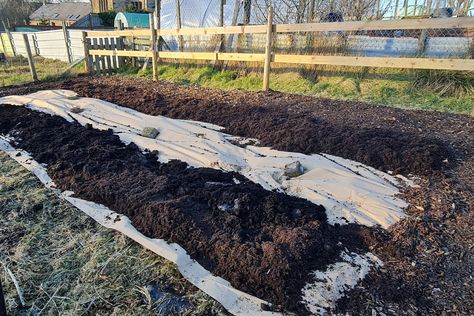 How I Started My No-Dig Allotment No Dig Allotment Uk, Allotment Ideas, Grass Weeds, Weed Barrier, Compost Bags, How To Get Thick, Grow Bags, Seed Starting, Getting Started