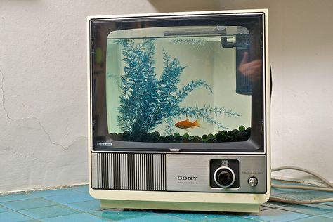 Past project No.17 TV Fish tank by brandzero, via Flickr Cool Fish Tanks, Alt Art, Cool Fish, Home Aquarium, Cat Trees, Aquarium Design, Foto Art, Old Tv, Aquarium Fish