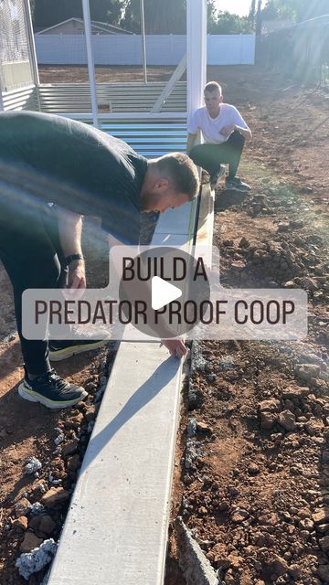 Coyote Proof Chicken Coop, Predator Proof Chicken Coop, Animal Enclosures, Chicken Barn, Chicken Care, Chicken Feeders, Housing Ideas, Chicken Feeder, Farm Stuff