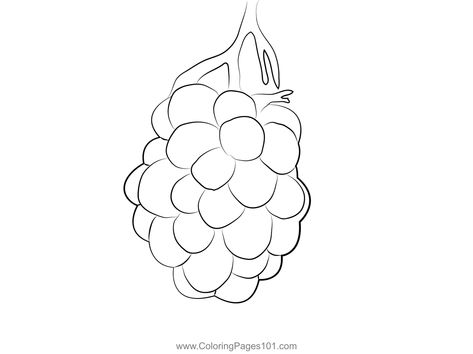 Blackberry Fruit Up Coloring Page Blackberry Fruit, Free Kids, Printable Coloring, Printable Coloring Pages, Coloring Pages For Kids, Coloring Page, Blackberry, Free Printable, Free Printables