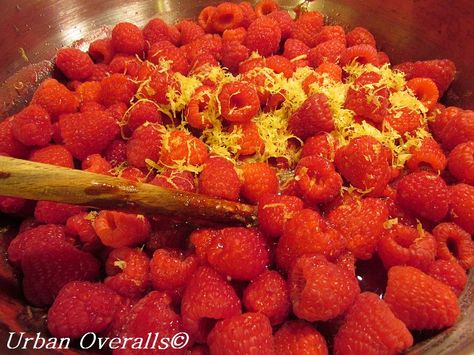 Mixed Berry Jelly, Raspberry Bushes, Lemon Jam, Raspberry Bush, Paleo Gluten Free Recipes, Fall Crop, Red Raspberry, Lemon Raspberry, Ball Jars