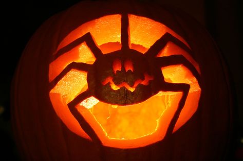 Pumpkin Inspiration, Spider Pumpkin, Pumkin Carving, Halloween Pumpkin Carving Stencils, Easy Pumpkin Carving, Amazing Pumpkin Carving, Halloween Pumpkin Designs, Pumpkin Photos, Pumpkin Carvings Stencils