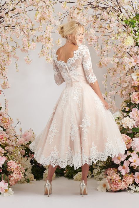 Elegant blush ballerina length wedding dress with three quarter sleeves Vintage Wedding Dresses Plus Size, Tea Length Bridal Dresses, Wedding Dresses Midi Length, Older Bride Wedding Dress Over 60, Blush Wedding Dress With Sleeves, Bridal Arches, 2nd Marriage Wedding Dress, Sweet Heart Wedding Dress, Tea Length Wedding Dresses Lace