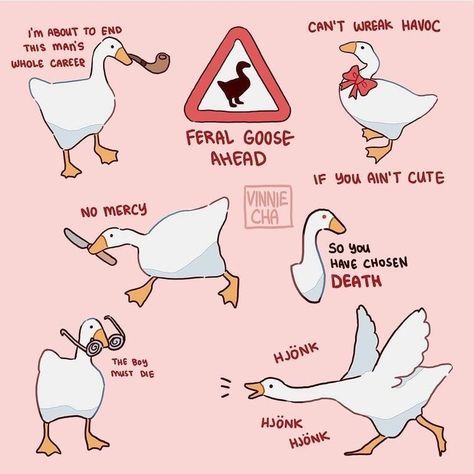 Duck Memes, Untitled Goose Game, Goose Game, Funny Duck, Funny Animal Jokes, Cute Doodle Art, Very Funny Pictures, Cute Little Drawings, Animal Jokes