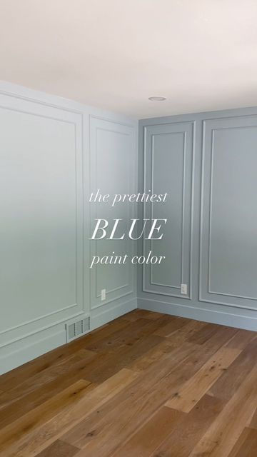 Blue Walls And Ceiling Bedroom, Paint Colors For Windowless Bathroom, Grandmillennial Paint Colors, Niebla Azul Sherwin Williams Bedroom, Light Blue Entryway, Shared Room Paint Ideas, Silver Lake Sherwin Williams, Blue Office Paint Colors, Colourful Home Interiors