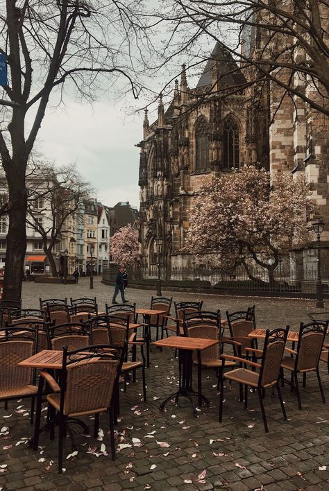 Koln Germany Aesthetic, Travel Aesthetic Germany, Life In Germany Aesthetic, Germany Aesthetic Wallpaper, Frankfurt Germany Aesthetic, Köln Aesthetic, Germany Travel Aesthetic, Deutschland Aesthetic, Germany Wallpaper